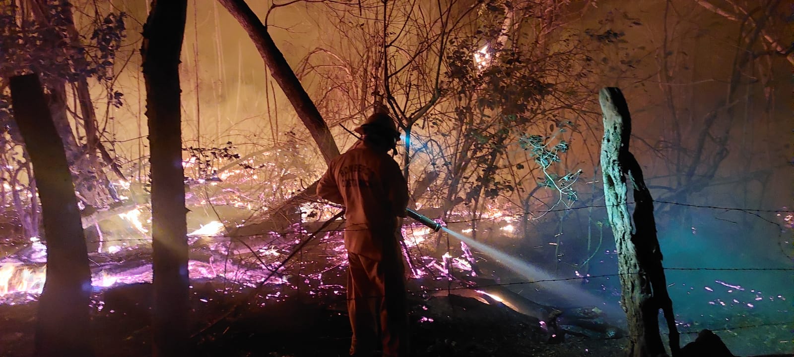 Tanto el Cuerpo de Bomberos, como el SINAC, reportan un notable incrementeo de incendios forestales en la temporada que está por concluir. Foto: Abraham Reyes.