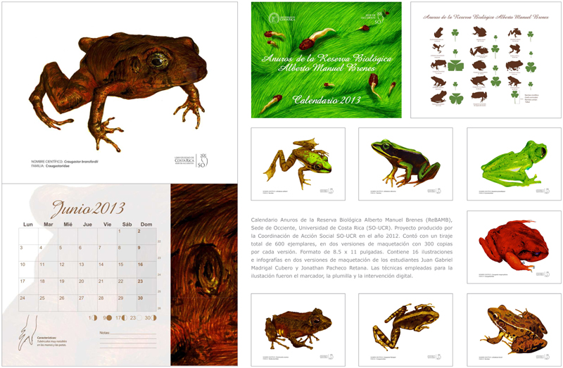 4. Calendario del 2013, de Juan Madrigal y Jonathan Pacheco.