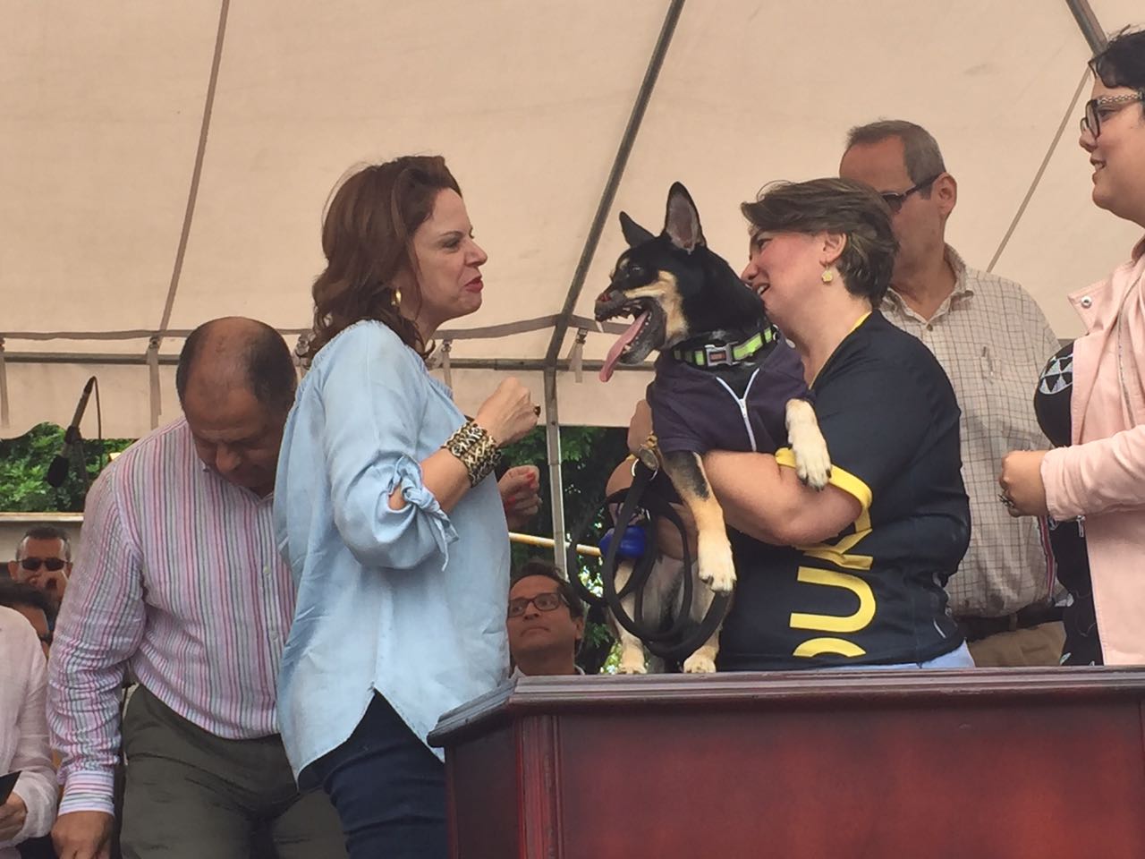 Ana Helena Chacón, vicepresidenta de la República, saludó a Duke y su dueña, Marianella Navarro, voluntaria de la Asociación Vida Animal.