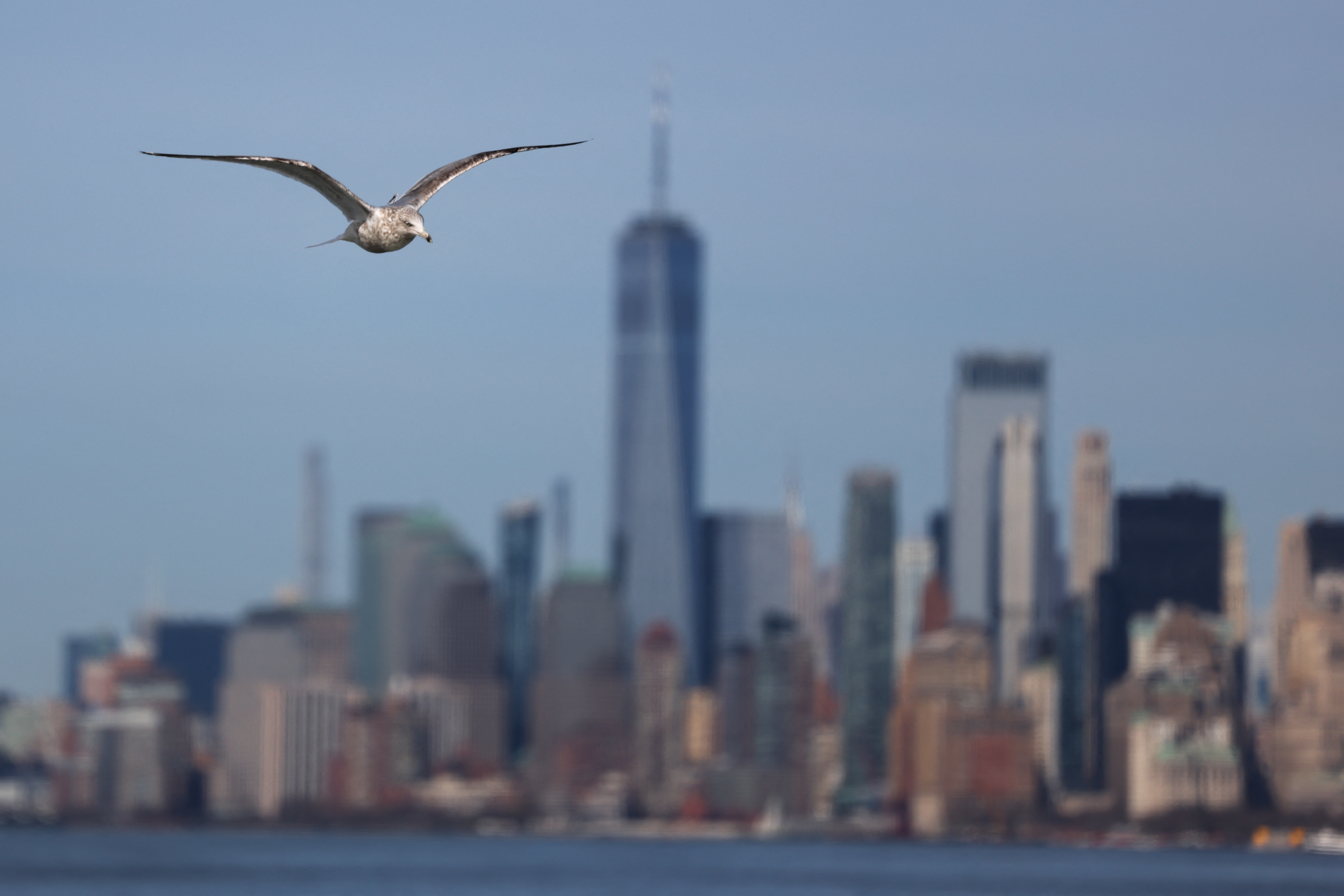 New York skyline