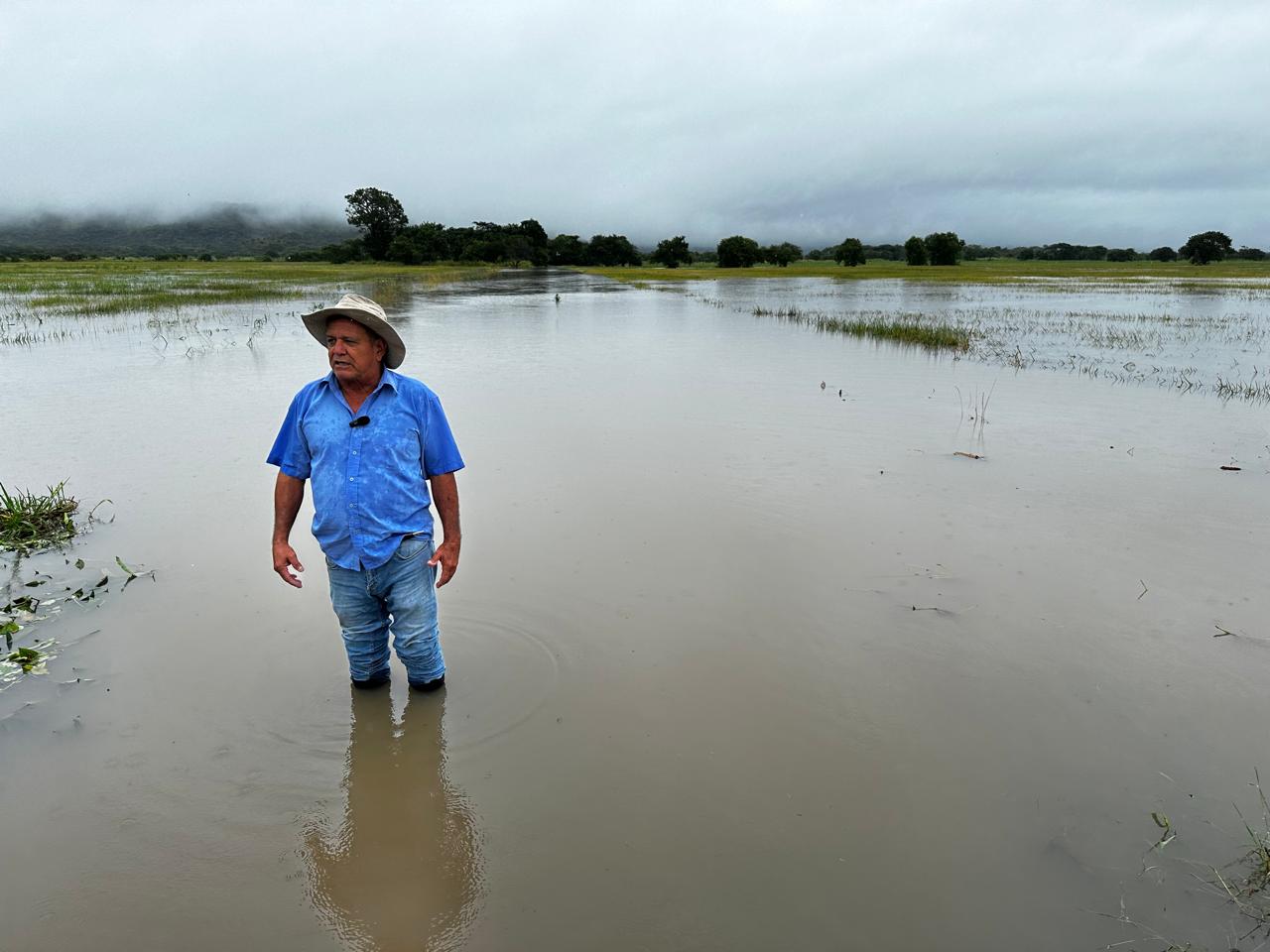 Productor de arroz afectado por lluvias
