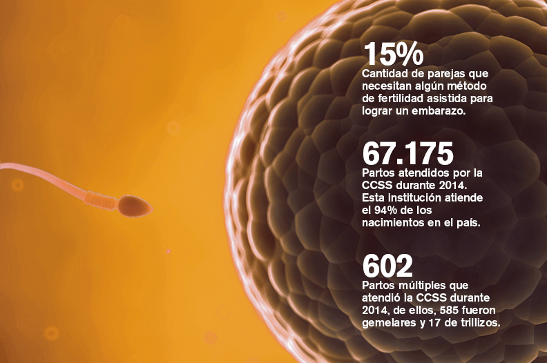 fertilidad