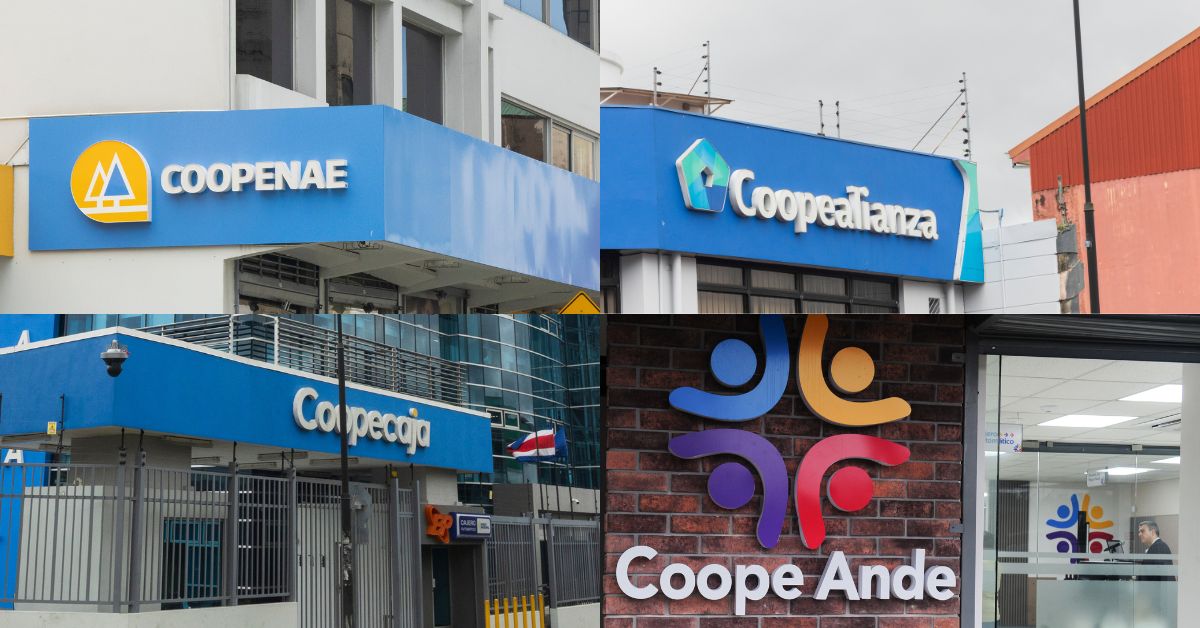 Cooperativas