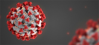 Así se ve el SARS-COV-2, causante del covid-19 en un microscopio. Científicos de todo el mundo buscan una vacuna contra este patógeno.
Fotografía: CDC