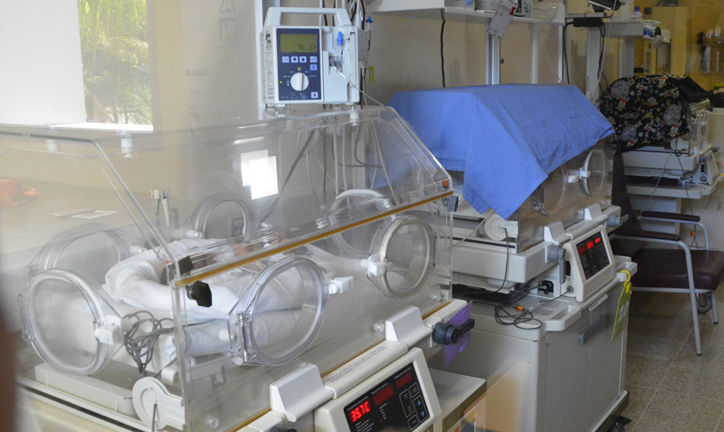 Gemelos estarían cerca de tener nuevo hogar – undefined