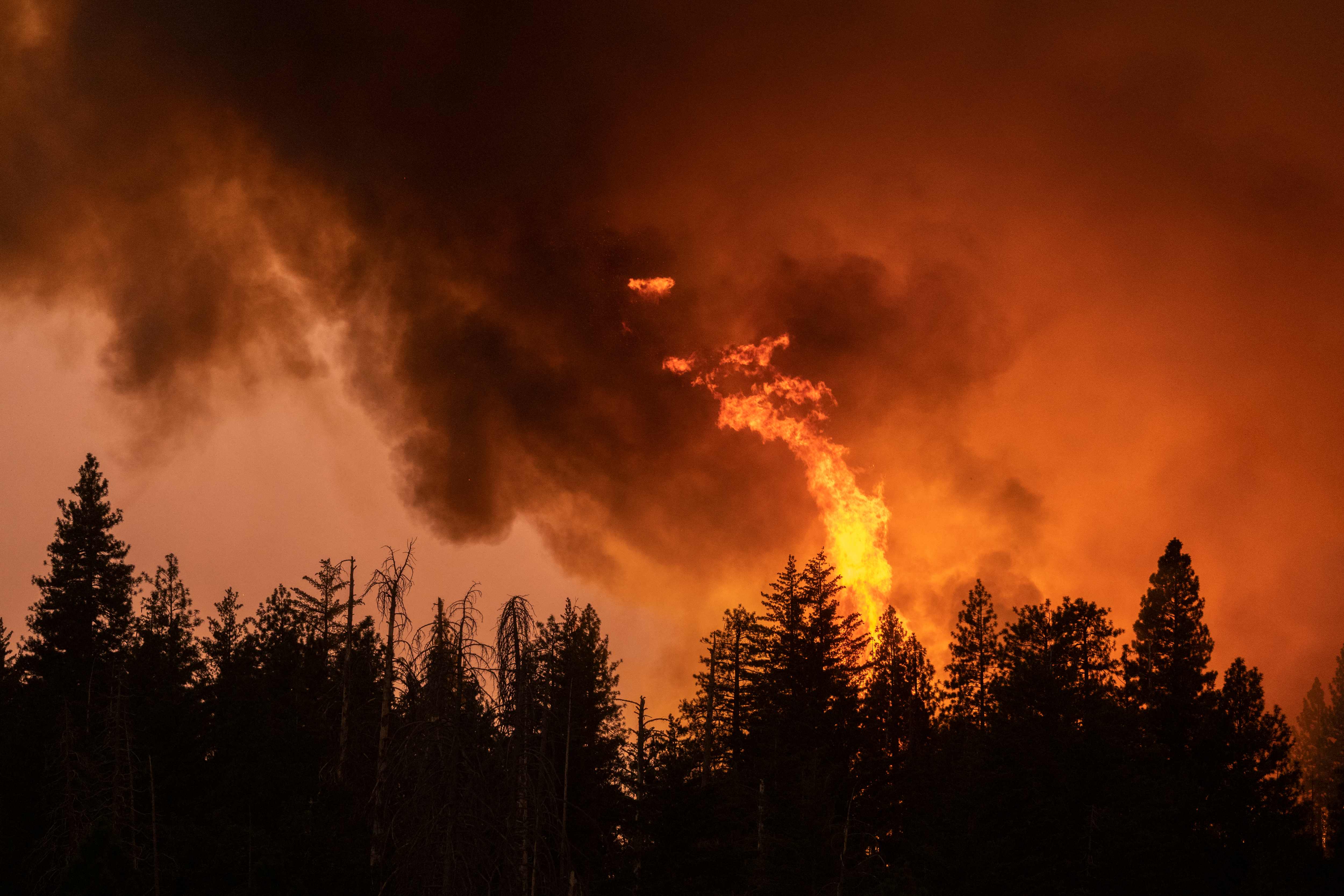 TOPSHOT - A forest is incinerated by the Oak Fire near Midpines, northeast of Mariposa, California, on July 23, 2022. - The California wildfire ripped through thousands of acres July 23 after being sparked a day earlier, as millions of Americans sweltered through scorching heat with already record-setting temperatures due to climb. (Photo by DAVID MCNEW / AFP)