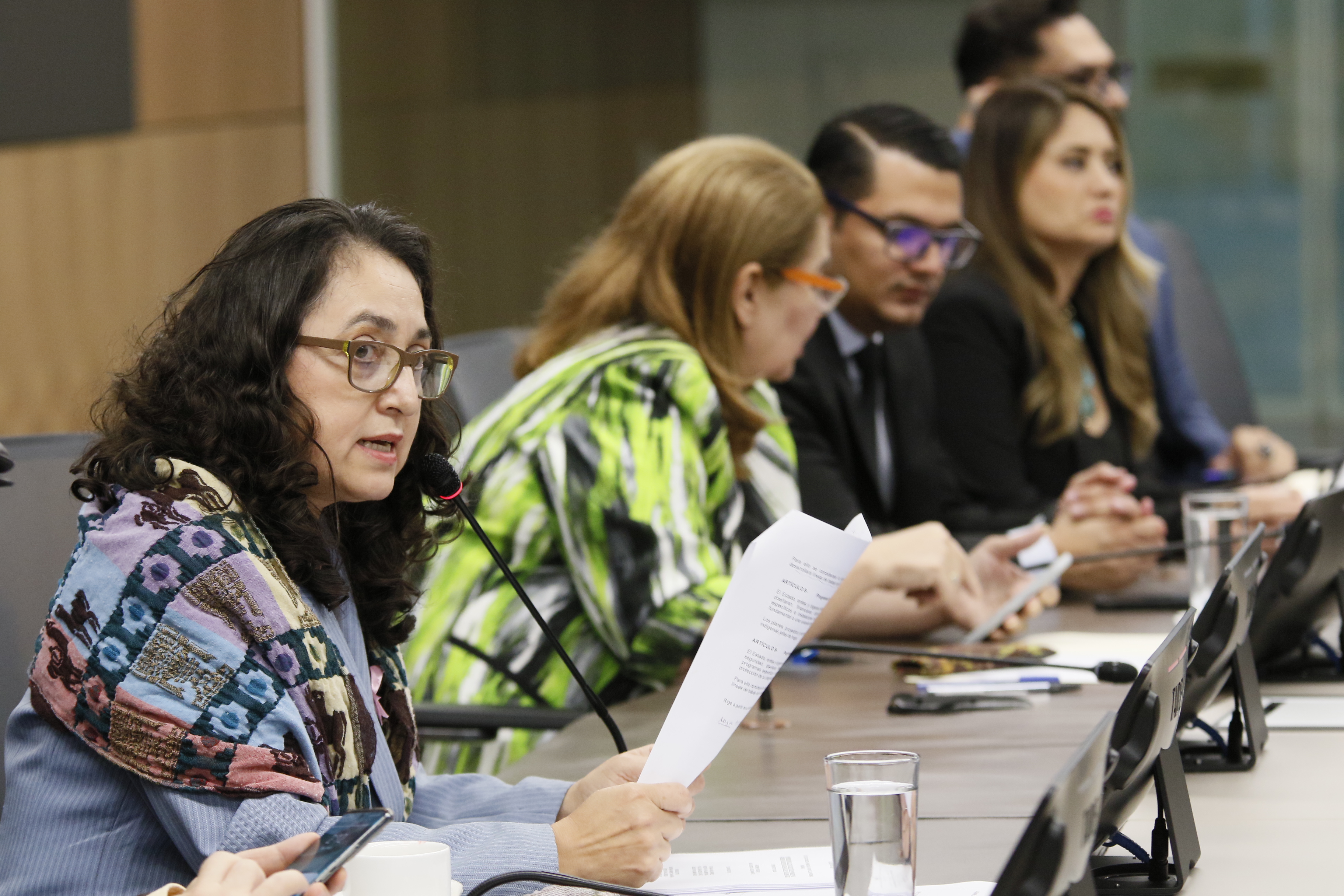Voto de una diputada oficialista frustra veto de Rodrigo Chaves | La Nación