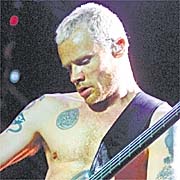Flea