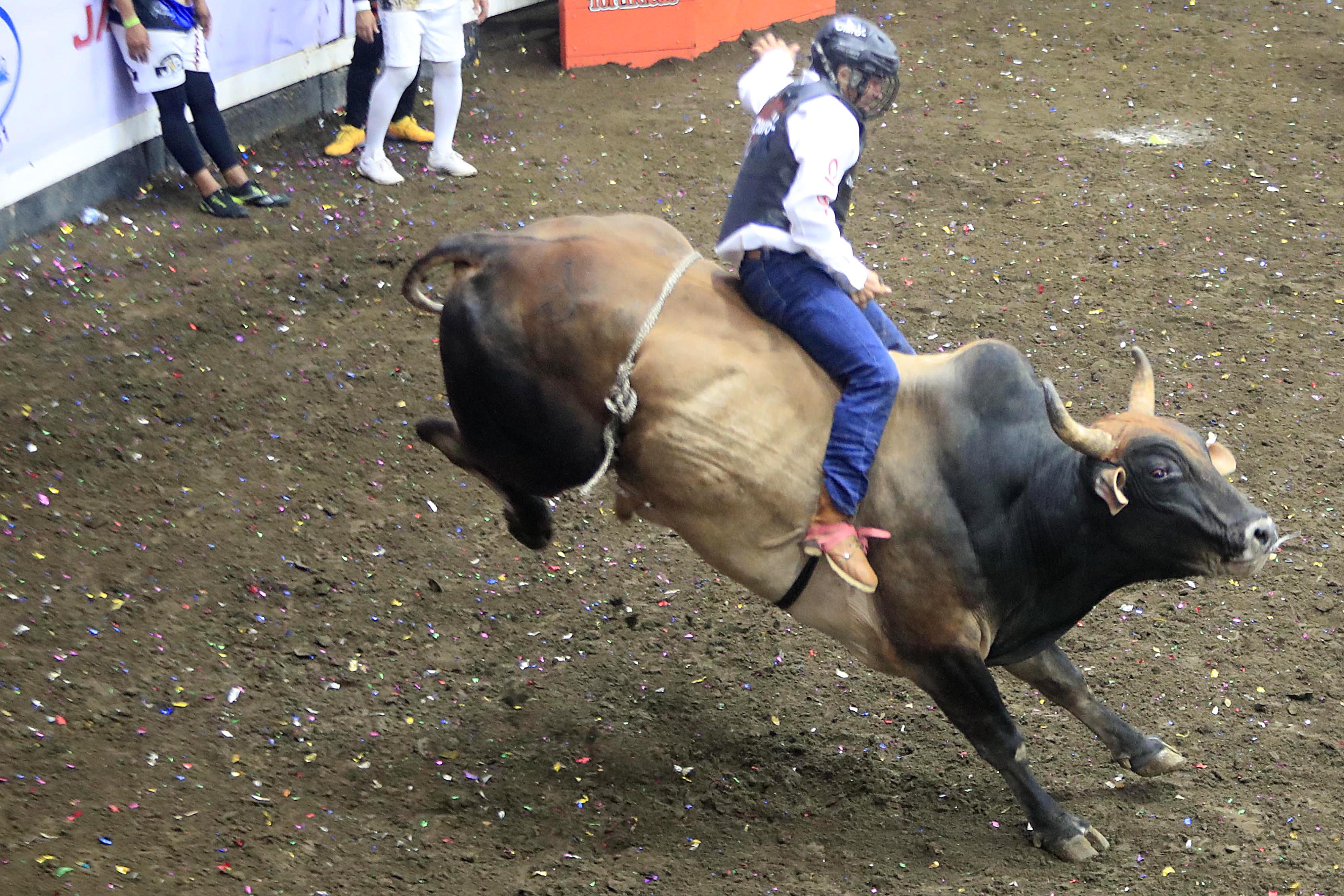 Palmares vibró con levantines, toros bravos, buenas montas y mucha  diversión | La Nación