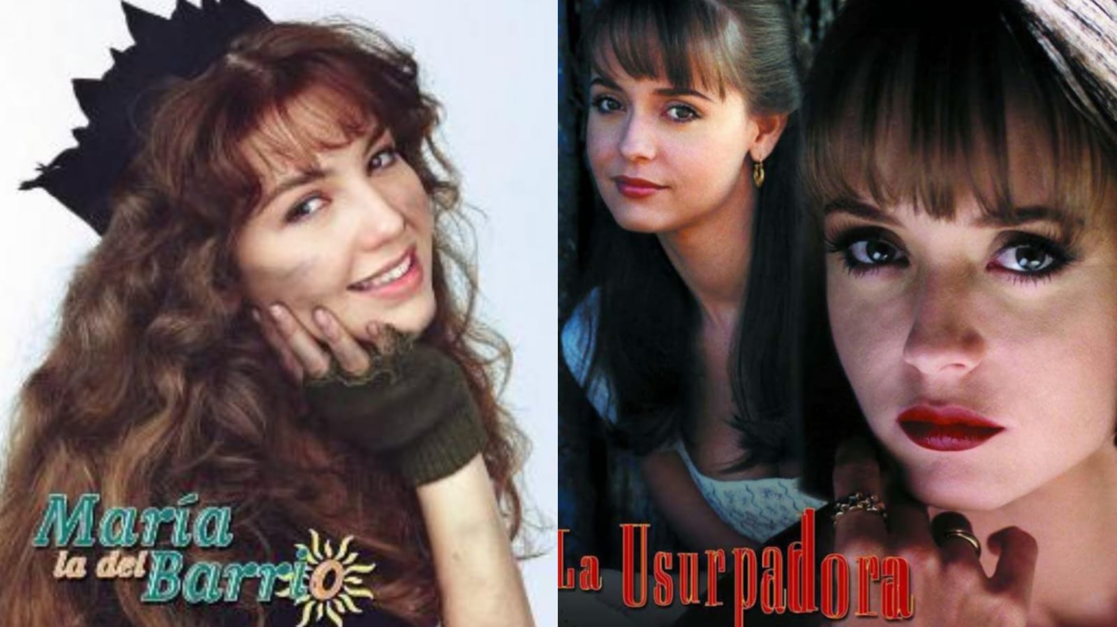 Fernando Colunga y Gabriela Spanic en La usurpadora