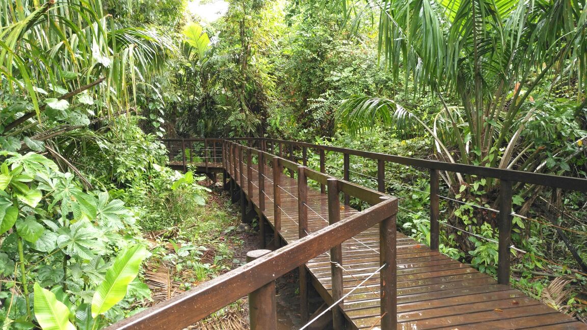 El sendero Los Cativos mide 2,1 kilómetros de longitud.