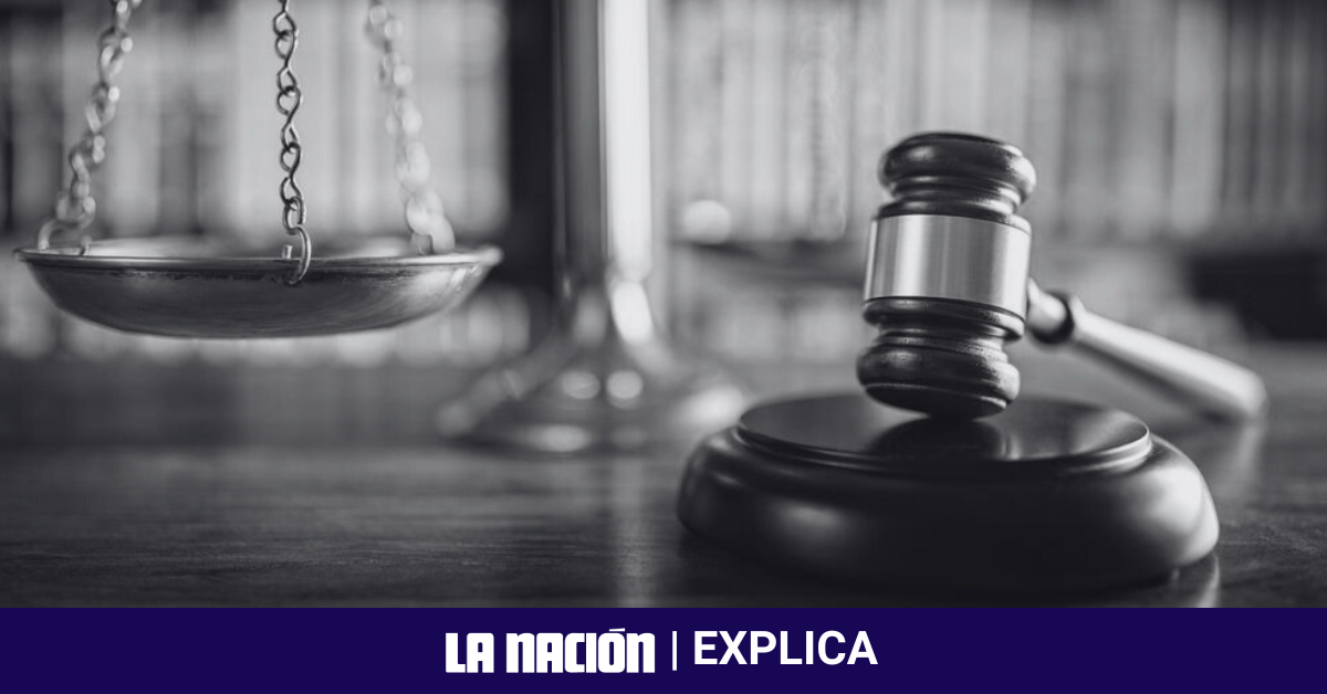 LN Explica Proceso Concursal