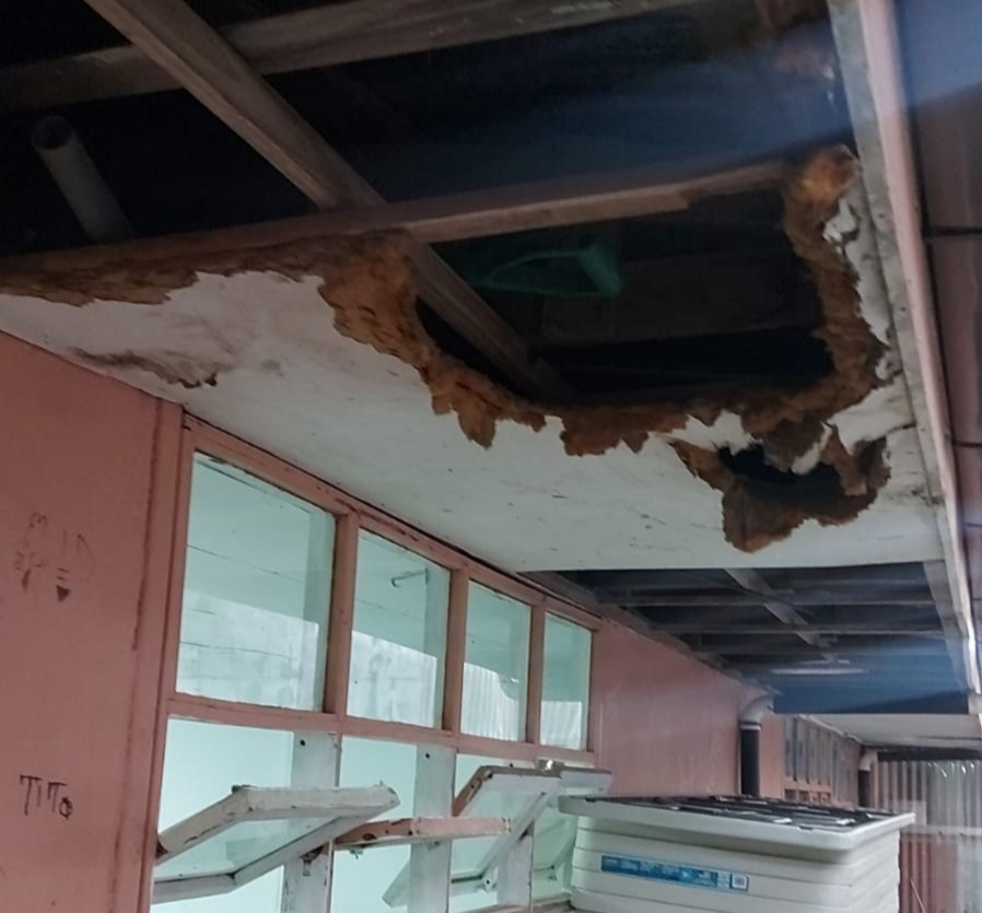 Estado de los techos de la escuela Carlos J. Peralta, ubicada en Guadalupe de Cartago. Foto Keyna Calderón