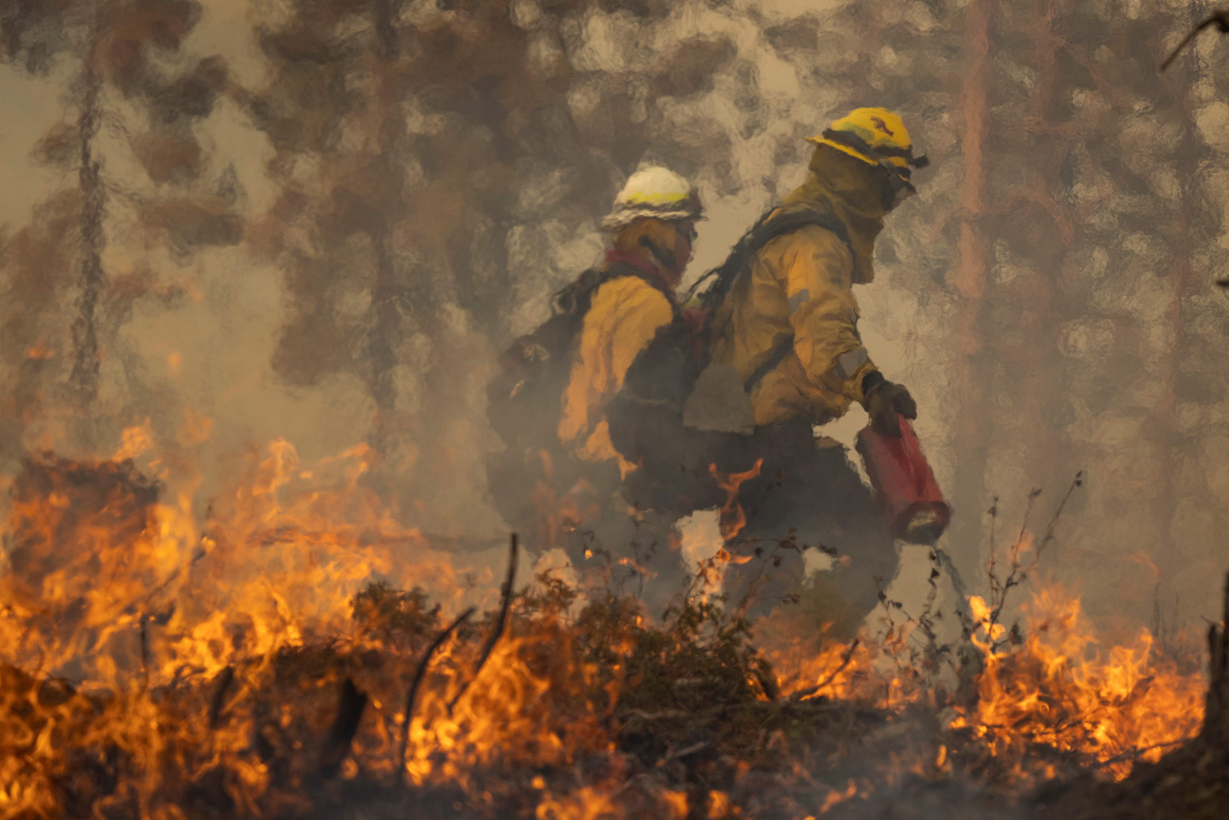 Incendio atrapa a campistas en bosque nacional en California - Primera Hora