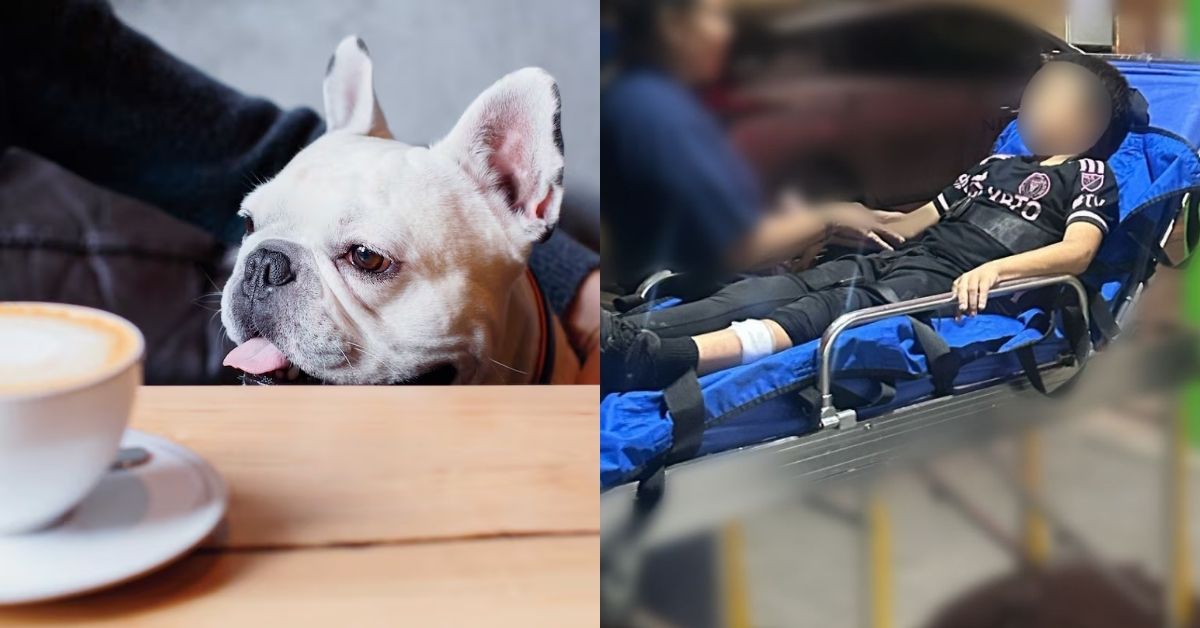 Pet friendly