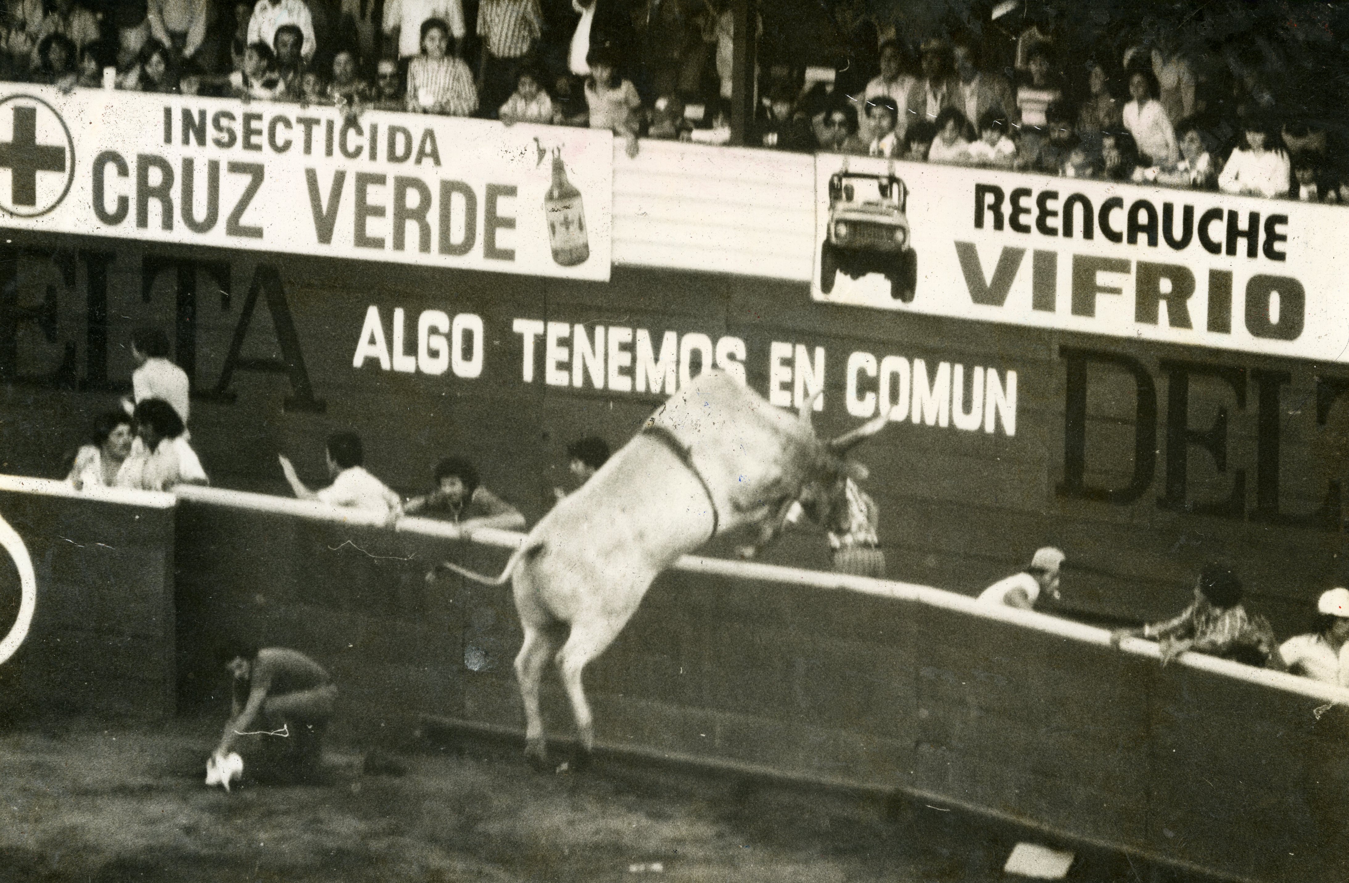 Este 2019 las fiestas de Zapote cumplen 50 años. Estos se han convertido en los festejos más populares que se realizan en Costa Rica desde 1969. Credito Archivo Grupo Nación