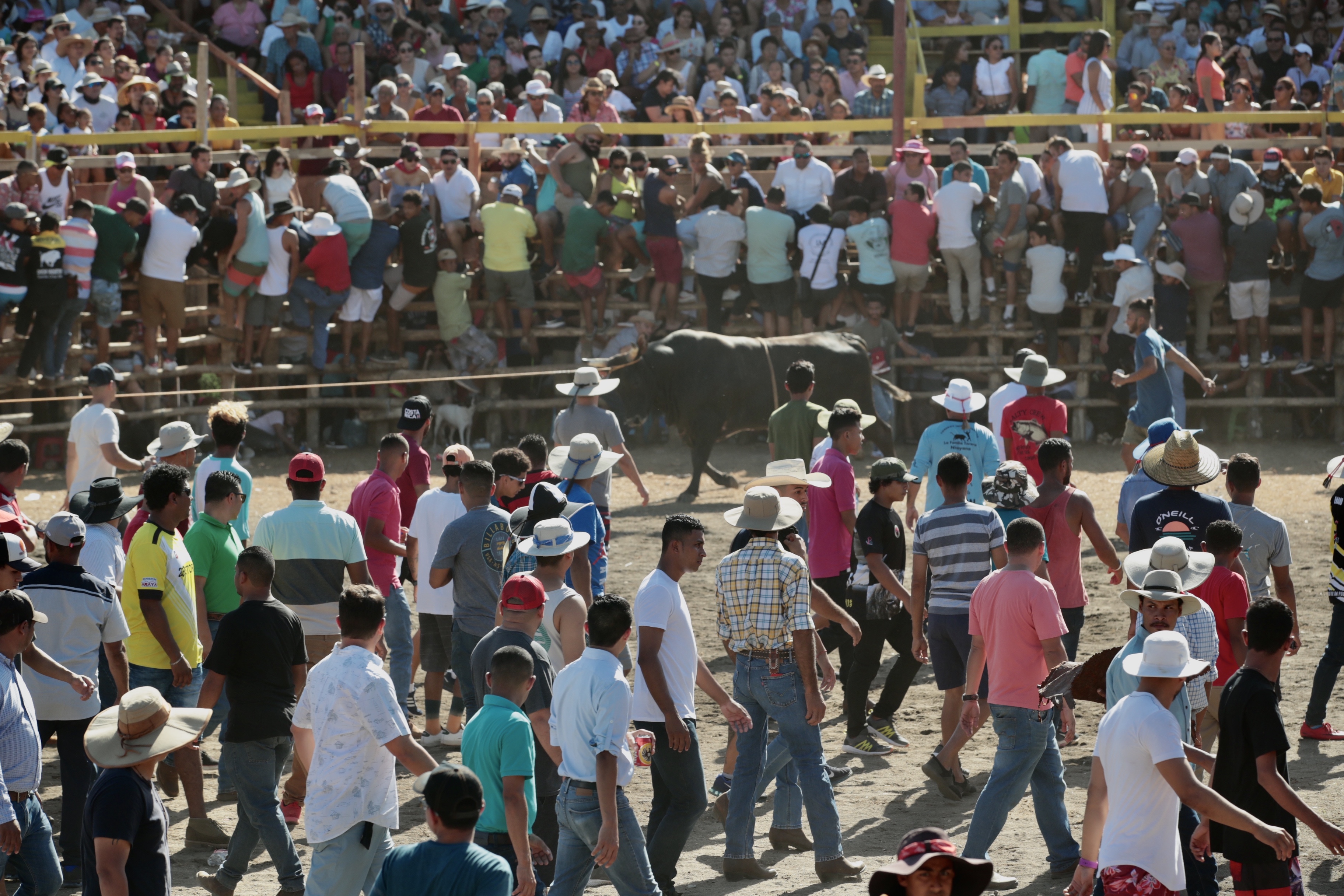 Santa Cruz cancel sus fiestas pero desde Facebook se convoca a