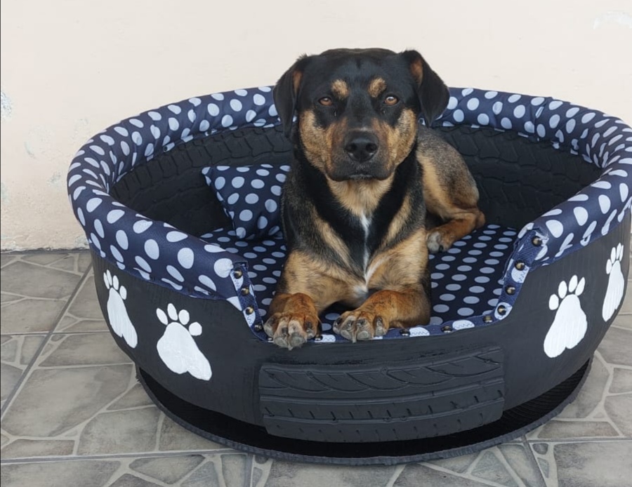 Cama para perros de best sale llantas precio