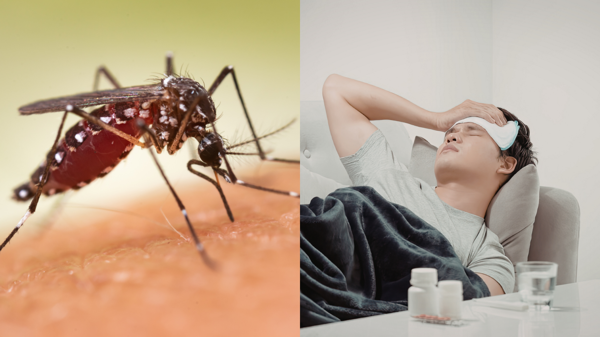 Las autoridades de salud contabilizan 21 casos confirmados de chikungunya. La eliminación de criaderos de mosquitos es vital para frenar los contagios.