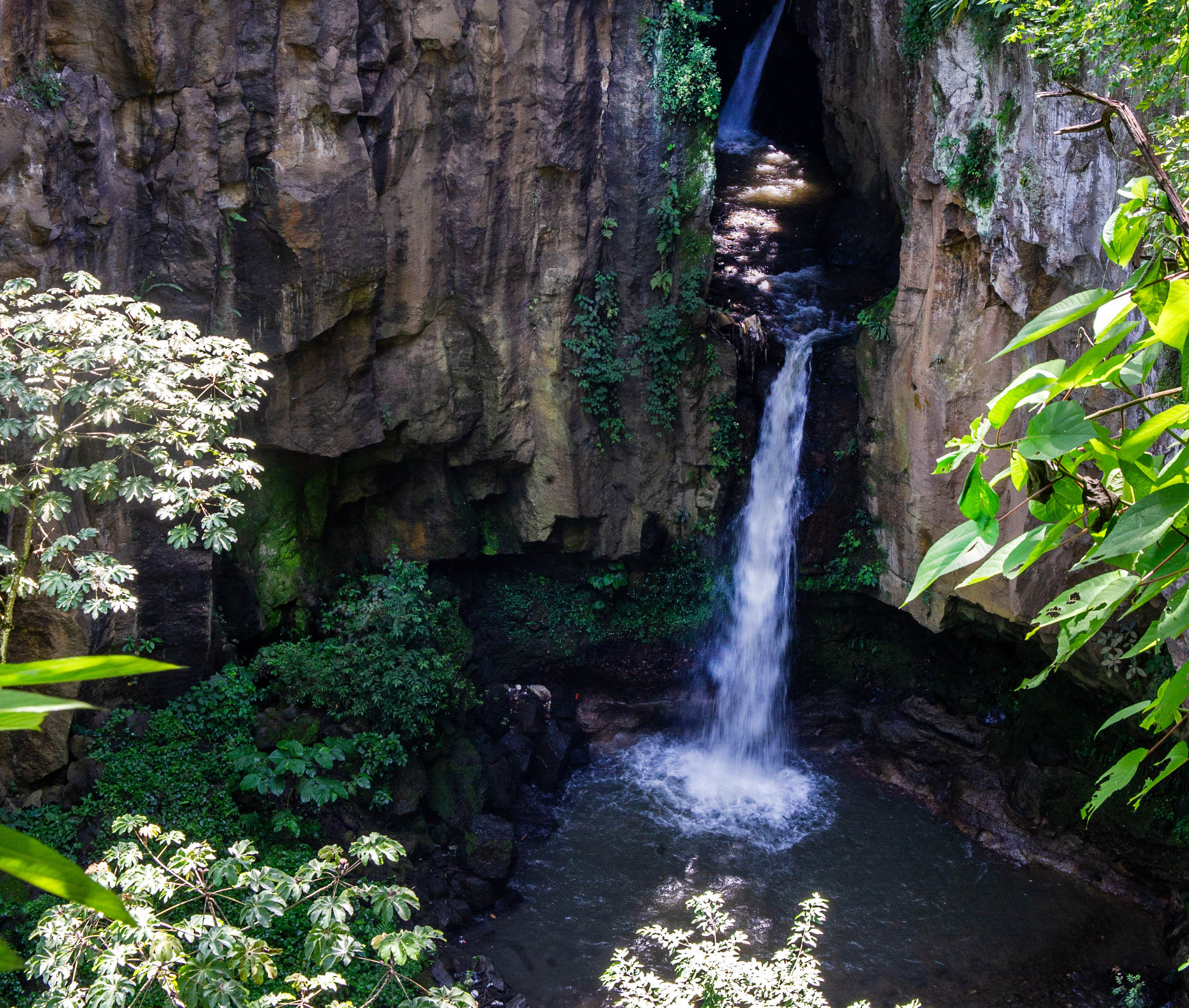 Parque natural urbano Lorne Ross