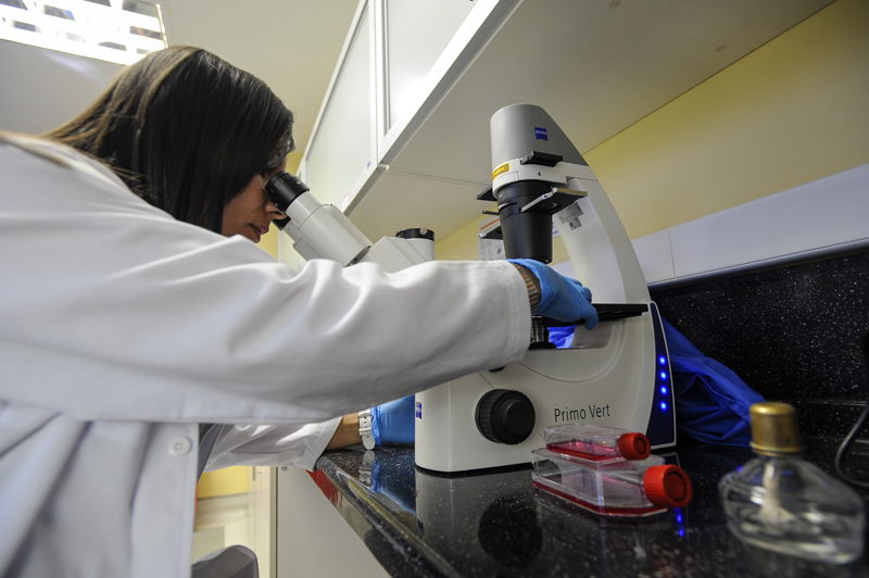 21-03-14
UCR Centro de Investigación de Enfermedades Tropicales
Fotografía ilustrativa para nota sobre investigación biomédica. Marlen Cordero, investiga diferentes patógenos.
Foto: LUIS NAVARRO