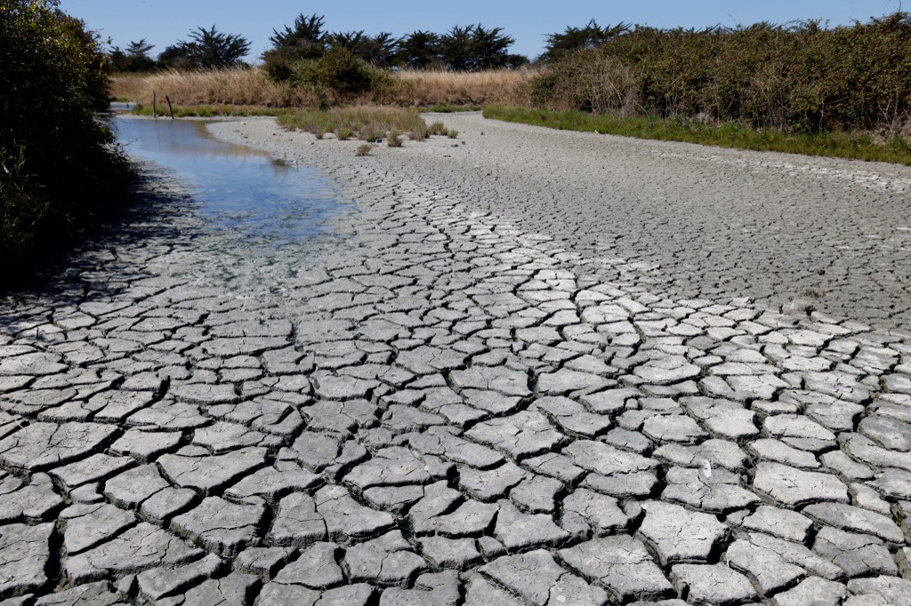 A view taken on August 7, 2022, shows the parched salt marshes on Ile de Noirmoutier, in the Bay of Biscay. (Photo by Ludovic MARIN / AFP)