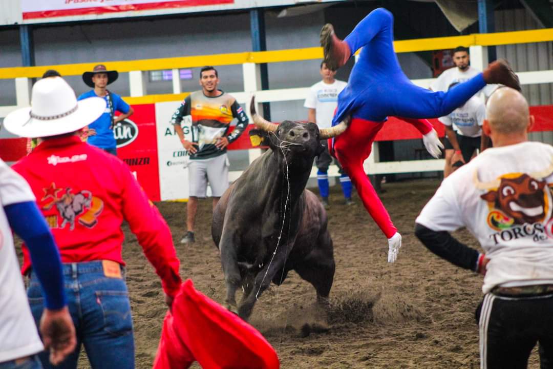 Toros!, ¡Toros! Conozca cuánto costará la entrada a las corridas de Palmares | La Teja