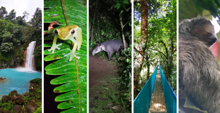 Foto de listados Bijagua y Río Celeste. Fotos: Diego Benitez