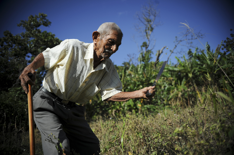 Jose María Guevara, de 104 años, aún tiene la costumbre de ‘chapear’ la maleza de su finca. Dice que el bastón es solo un apoyo, pero que todavía puede caminar sin él. | MARCELA BERTOZZI