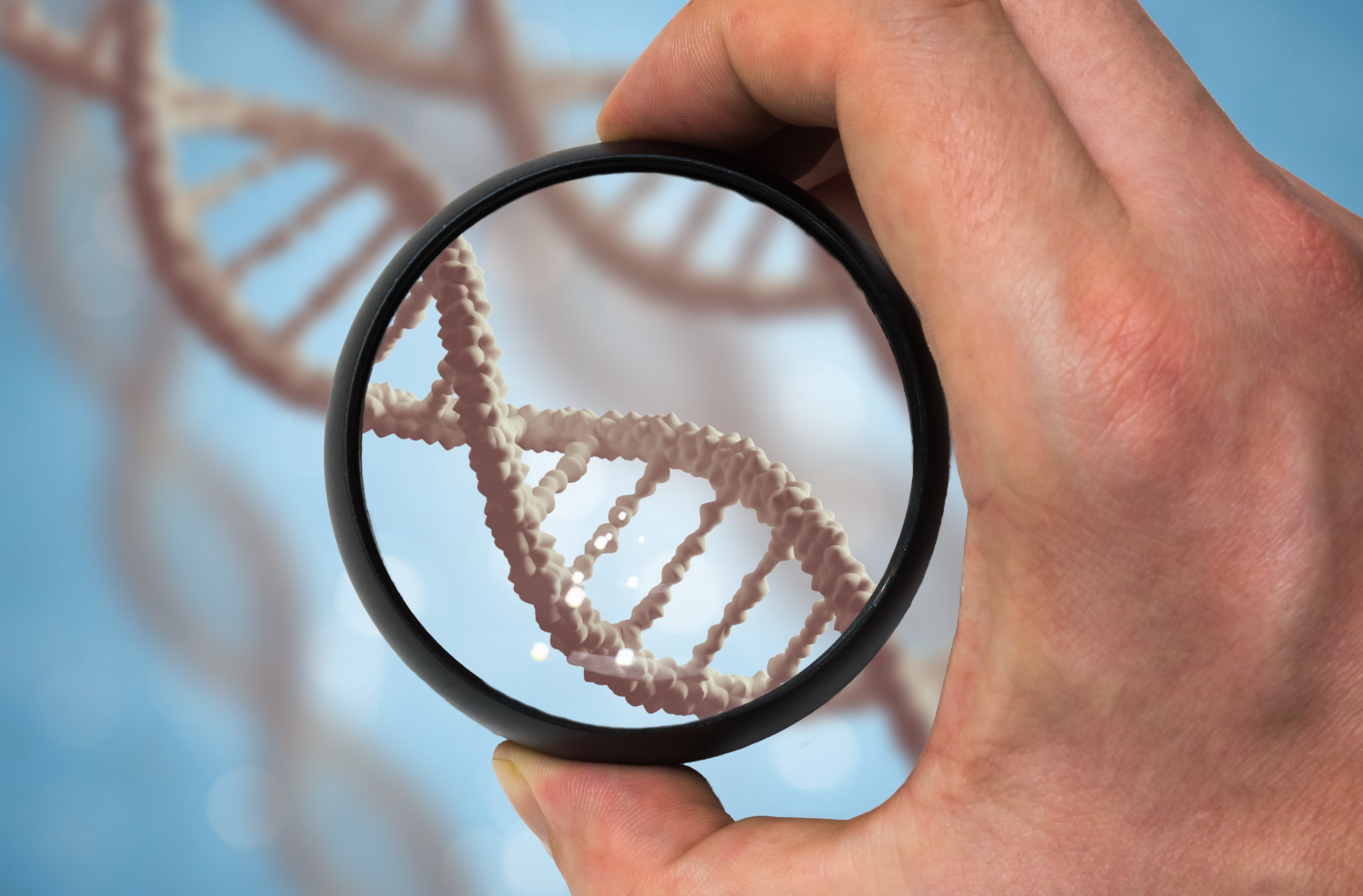 Imagen para ilustrar nota sobre cáncer hereditario.
Imagen Shutterstock
