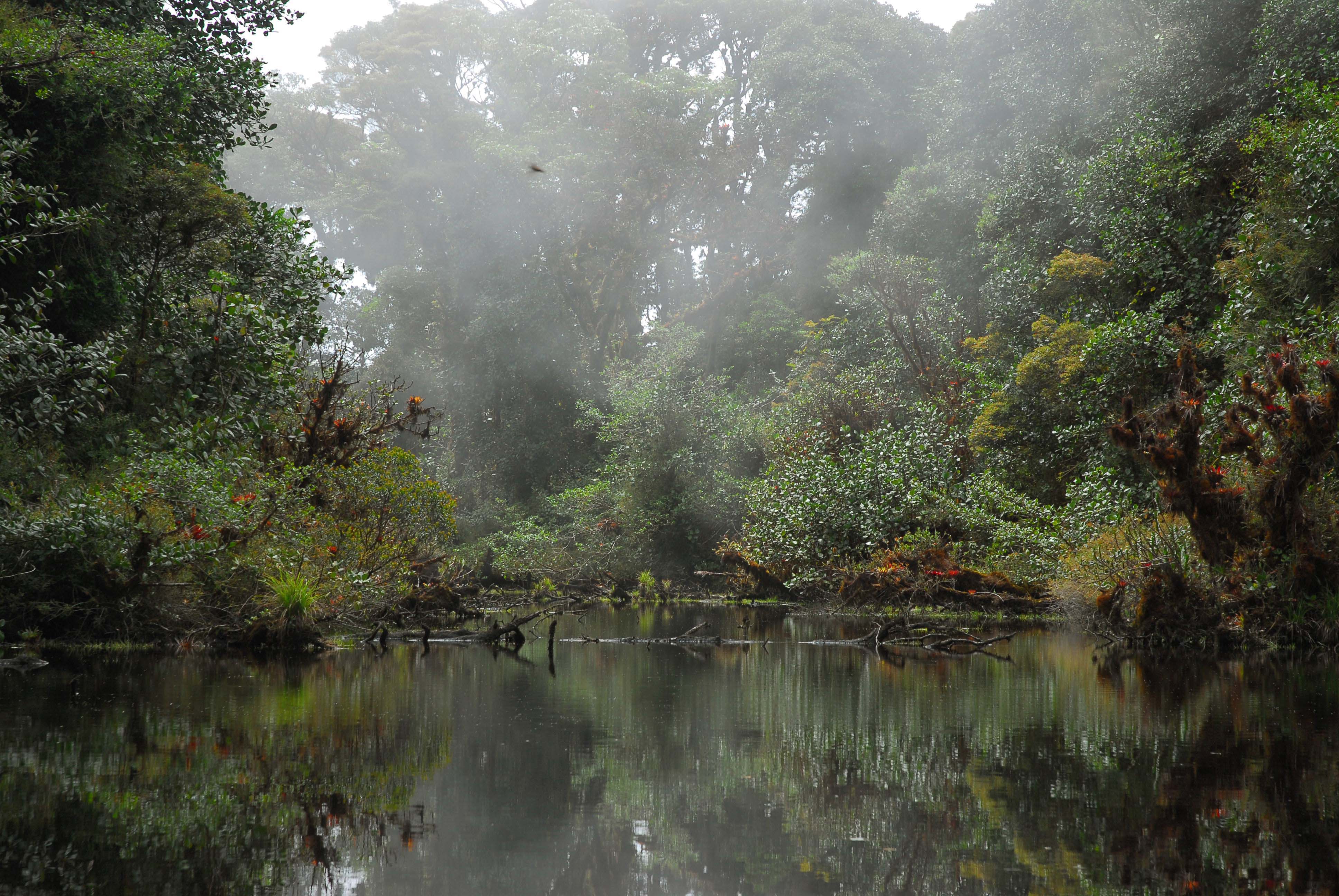 Laguna en el parque nacional Braulio Carrillo.