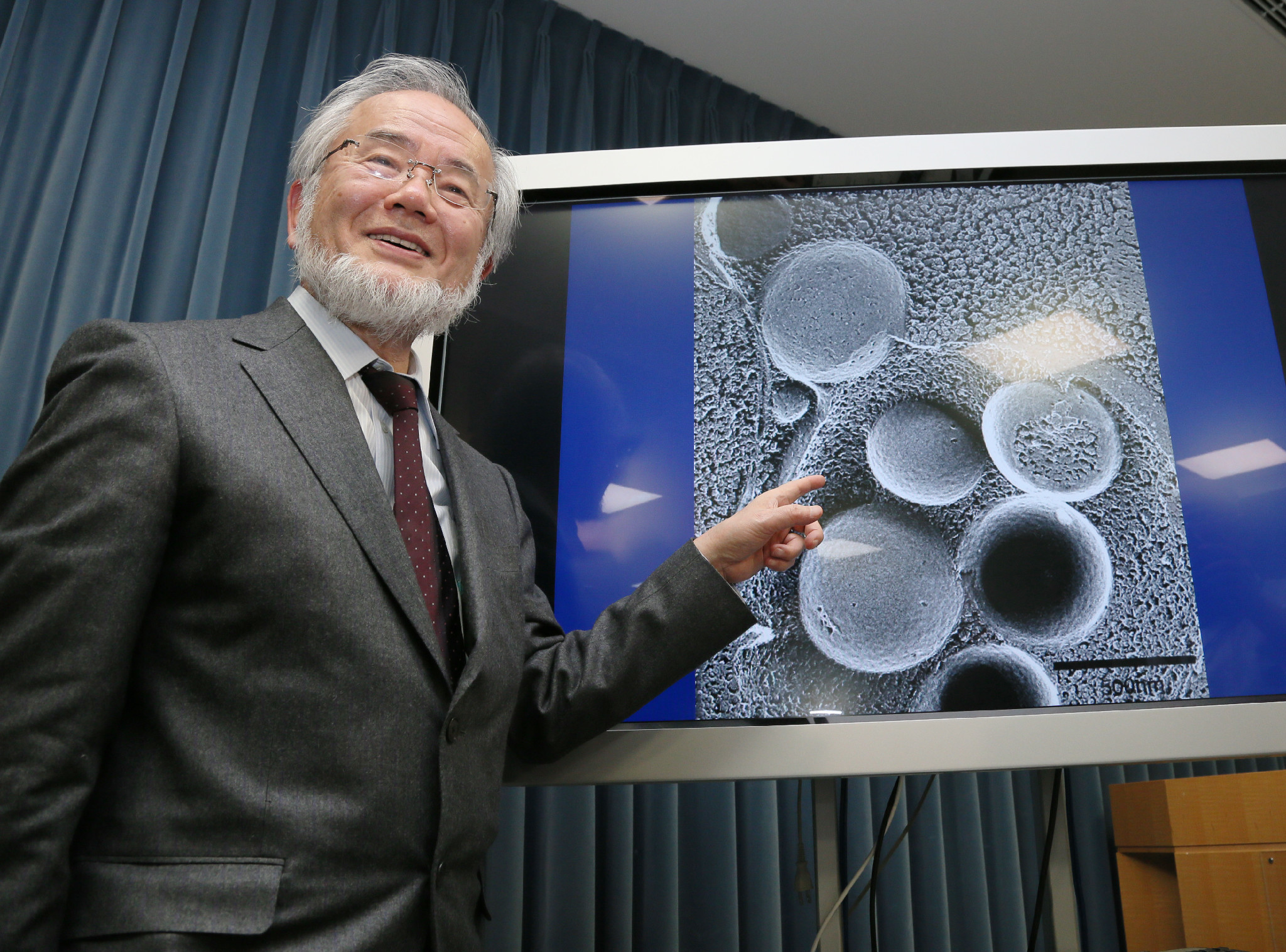 Yoshinori Ohsumi recibió este lunes el premio Nobel de Medicina.