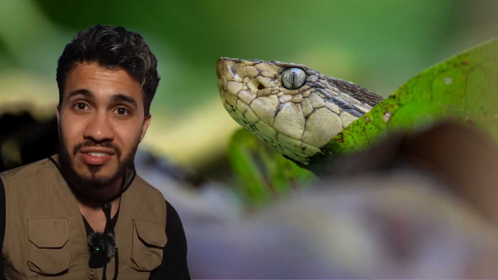 Araya Vlogs, creador de contenido, compartió en redes su experiencia al encontrarse con tres serpientes y reflexionó sobre los peligros de vivir en áreas rurales.