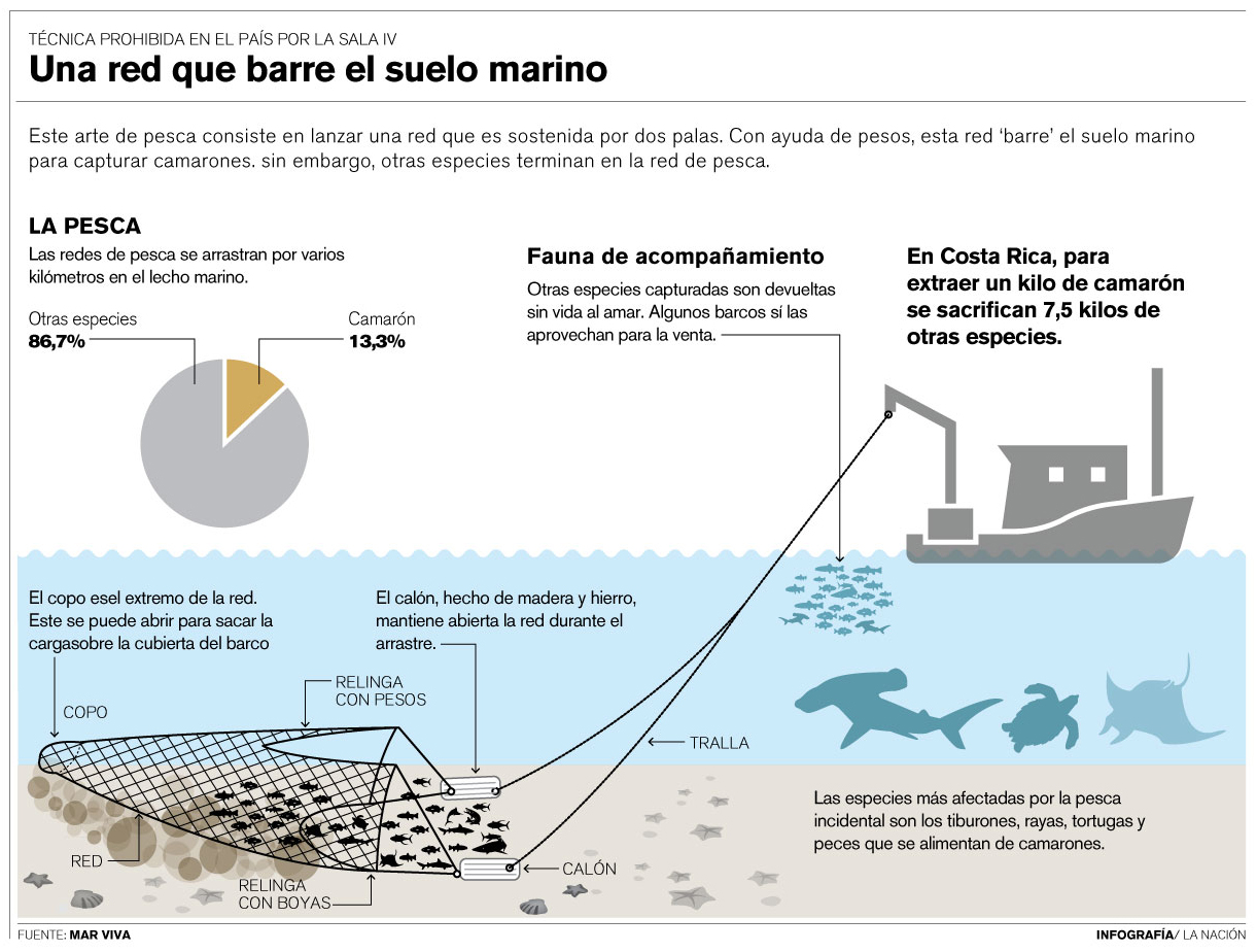 Pesca de arrastre: ¿qué es y por qué científicos afirman que es perjudicial  para el medio ambiente?