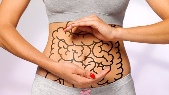 Flora intestinal