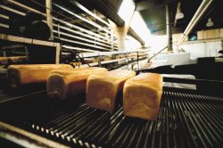 Empresas mexicanas, como Derivados de Trigo Alimenticio S. A. (Detrisa), invirtieron 94.848 millones de colones en Costa Rica entre 1992 y 1999.