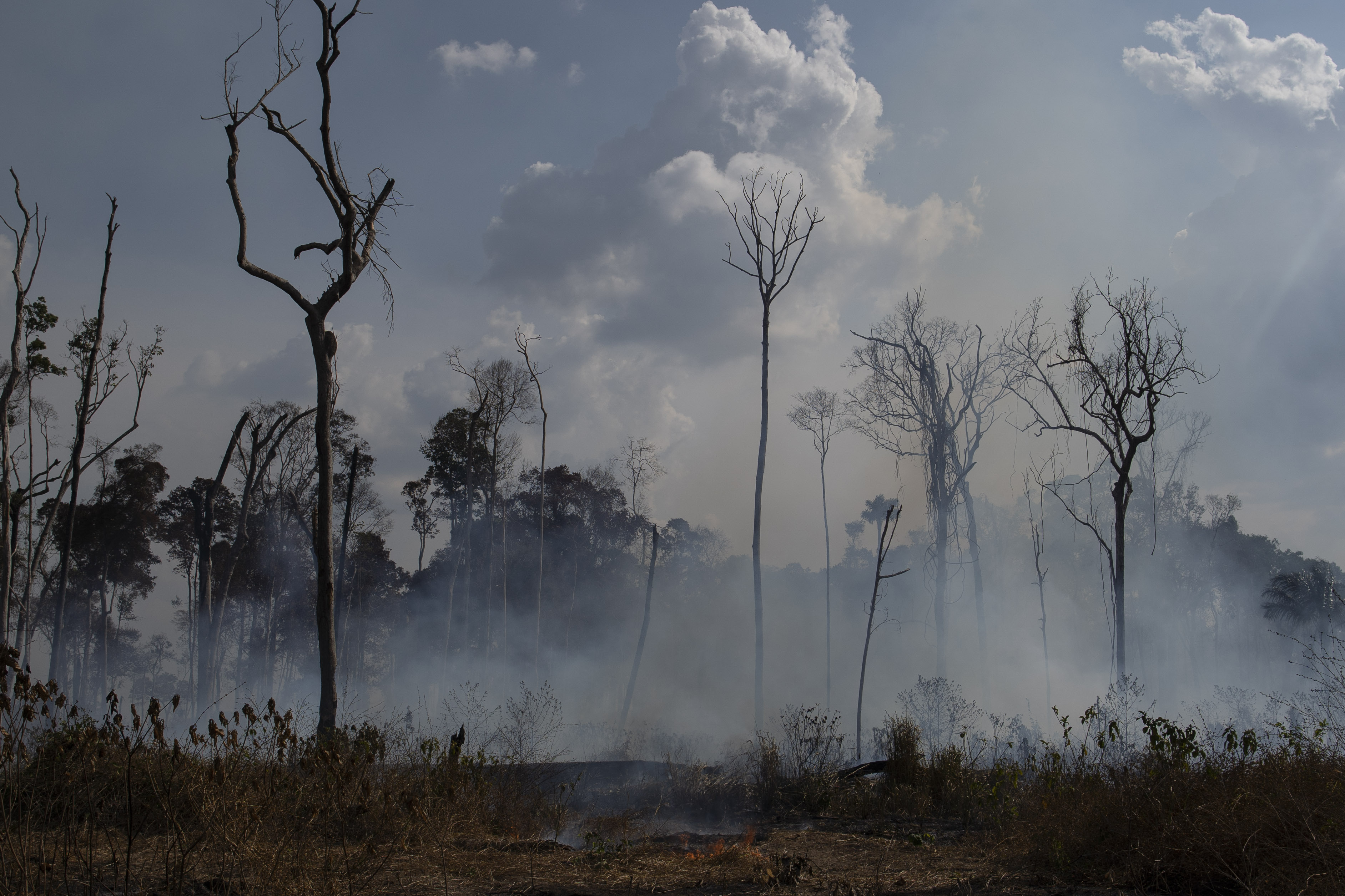 An area smolders in the Alvorada da Amazonia region in Novo Progresso, Para state, Brazil, Sunday, Aug. 25, 2019. (AP Photo/Leo Correa)