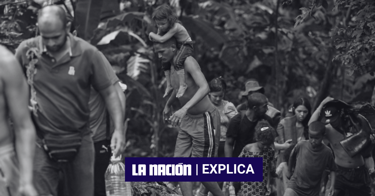 En 2022, aproximadamente 227 mil personas cruzaron el territorio panameño en busca de una vida mejor, mientras que en julio de 2023, este número aumentó a 248 mil migrantes.