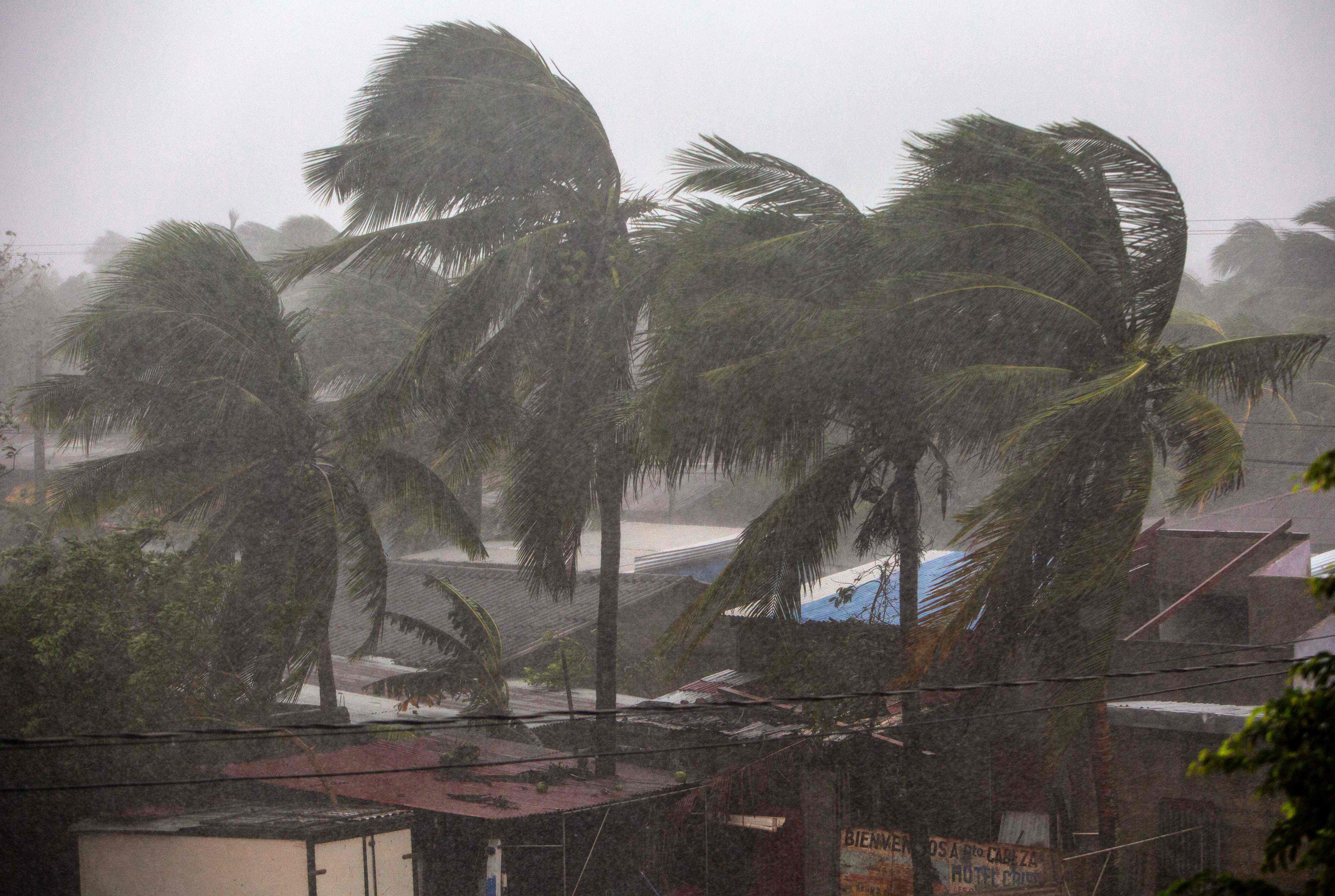 Palm trees blow in the wind as Hurricane Eta makes landfall in Bilwi, Puerto Cabezas, Nicaragua, on November 3, 2020. - A powerful Hurricane Eta lashed the north coast of Nicaragua on Tuesday with heavy rain and winds of more than 130 miles per hour that ripped up trees and roofs, authorities said. (Photo by INTI OCON / AFP)