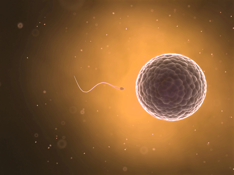 Fertilidad asistida debe usarse solo en casos extremos