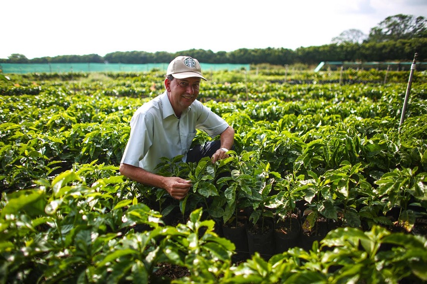 Carlos Mario Rodríguez, director del Centro Global de Agronomía e Investigación de Starbucks, ubicado en Costa Rica, resaltó el éxito del proyecto por la ubicación privilegiada de la finca, entre otros factores.