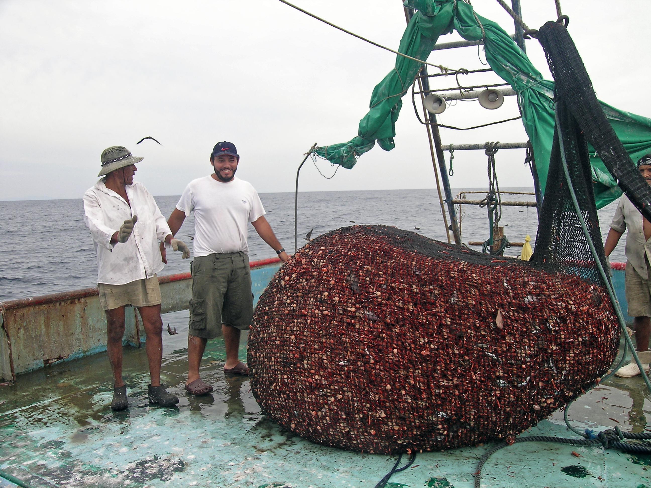 Pesca de arrastre, Pacfico central-norte de costa Rica