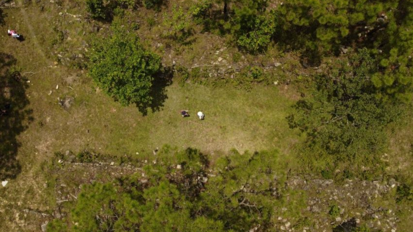 Una ciudad precolombina con 1.200 años de antigüedad fue hallada en México.