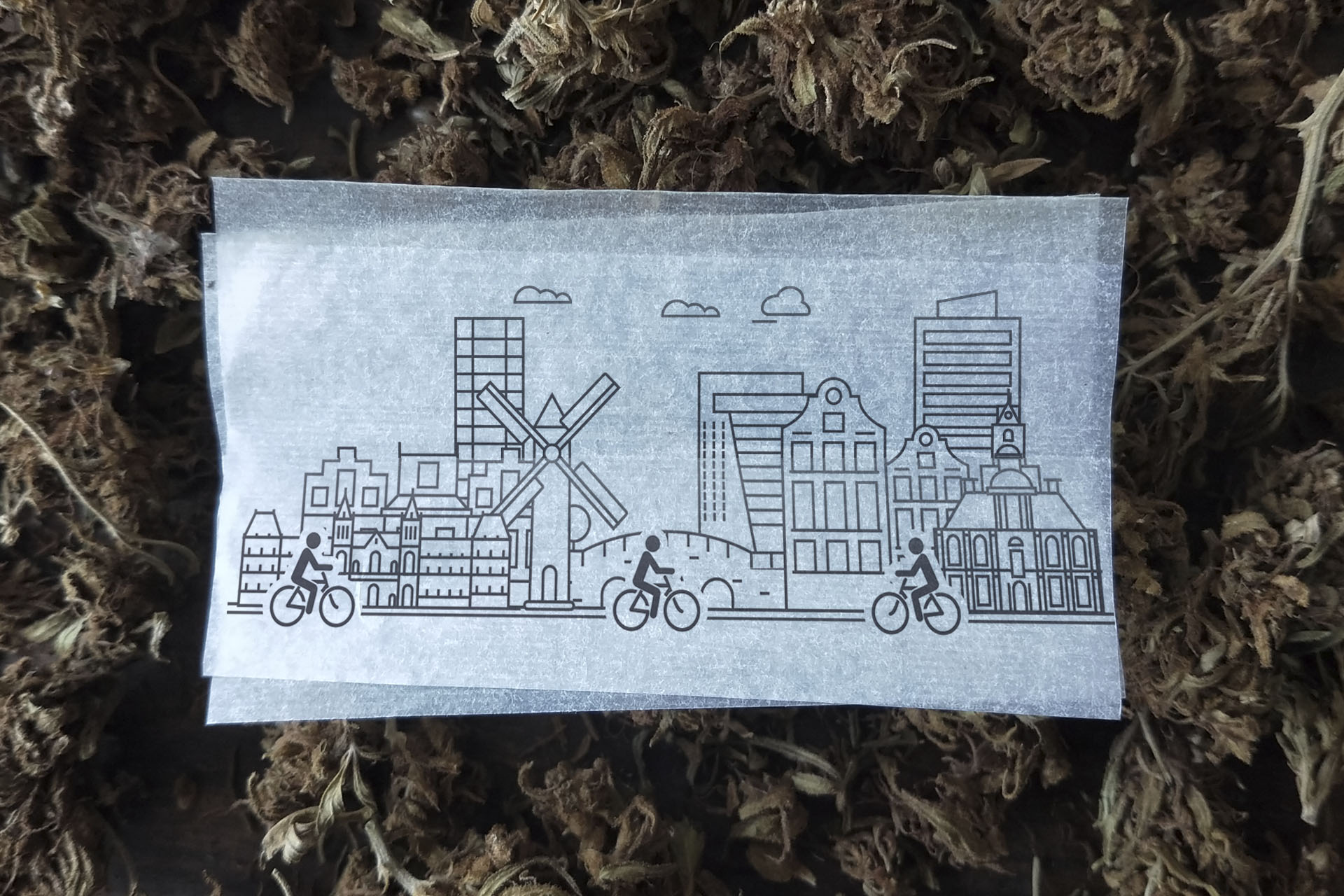 World wide weed: porro legal en las principales ciudades europeas