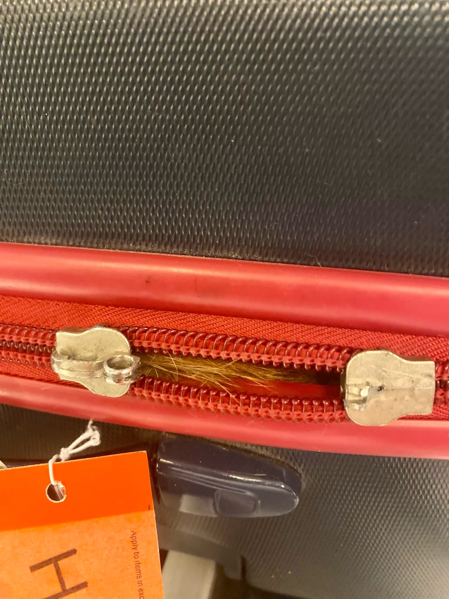 Picture of the orange hair sticking out of the suitcase.