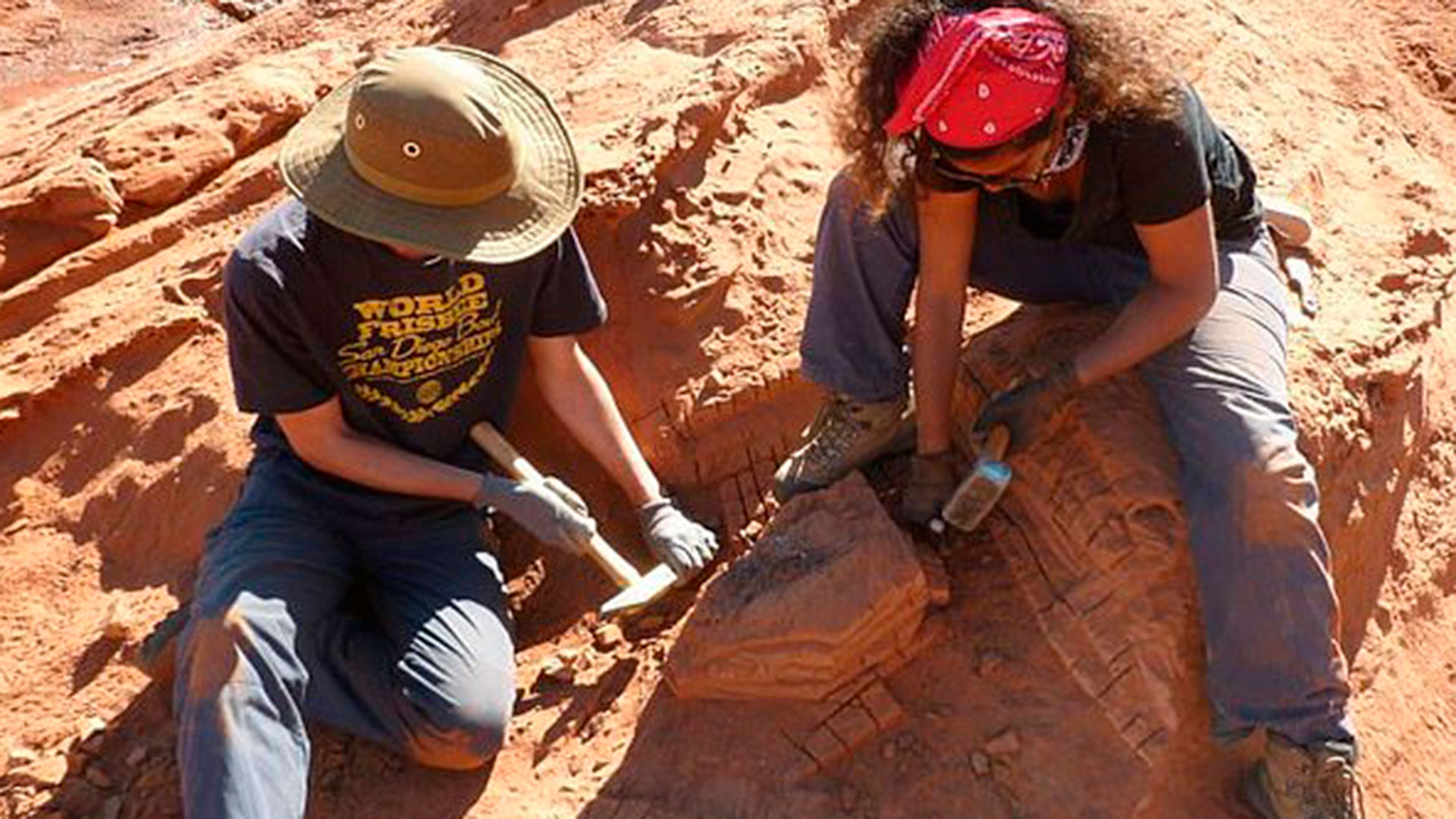 Paleontólogos argentinos en Neuquén desentierran fósiles de dinosaurios