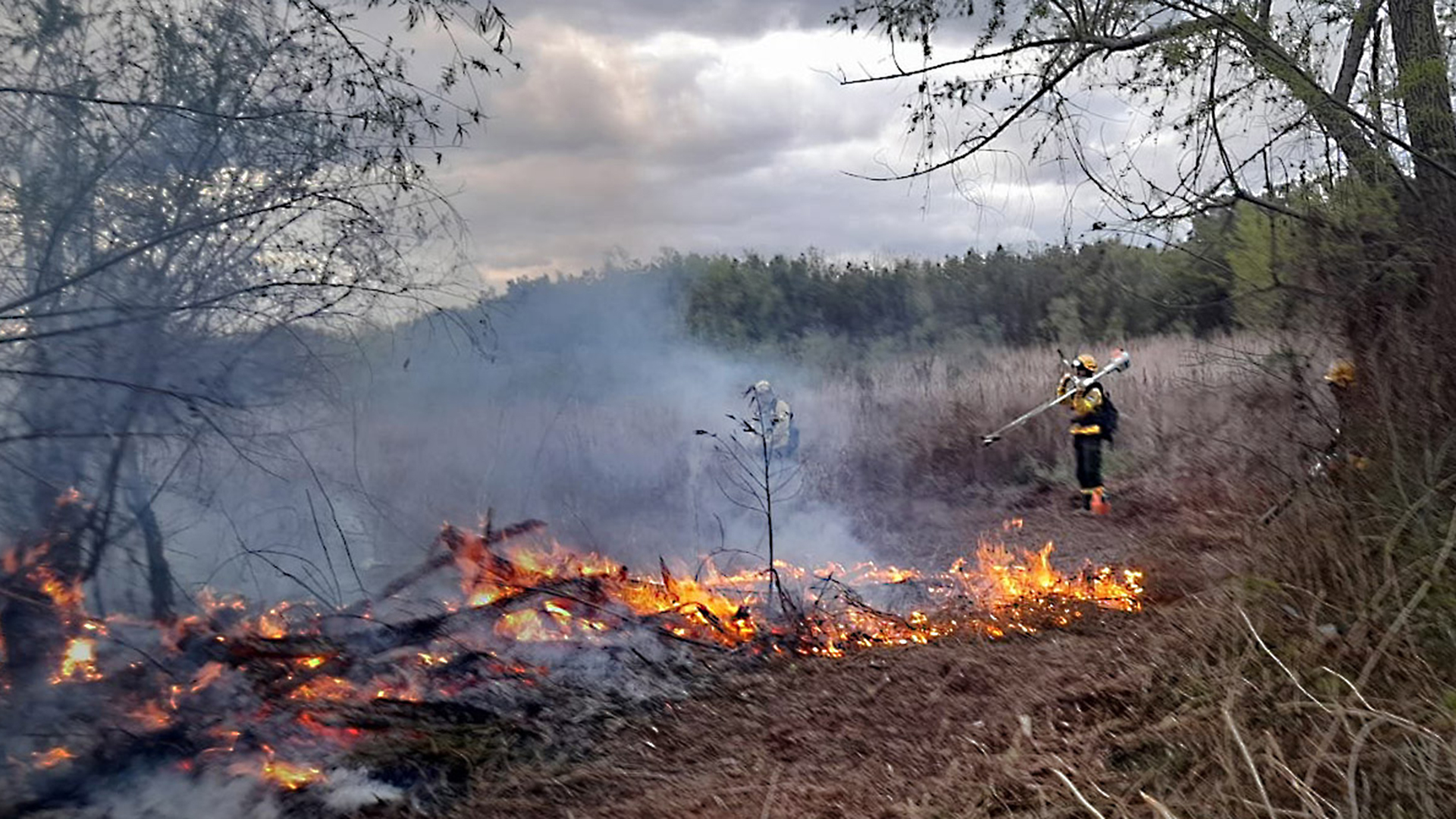 Brigade members work to put out the fires and detect the possible culprits.  NA photo