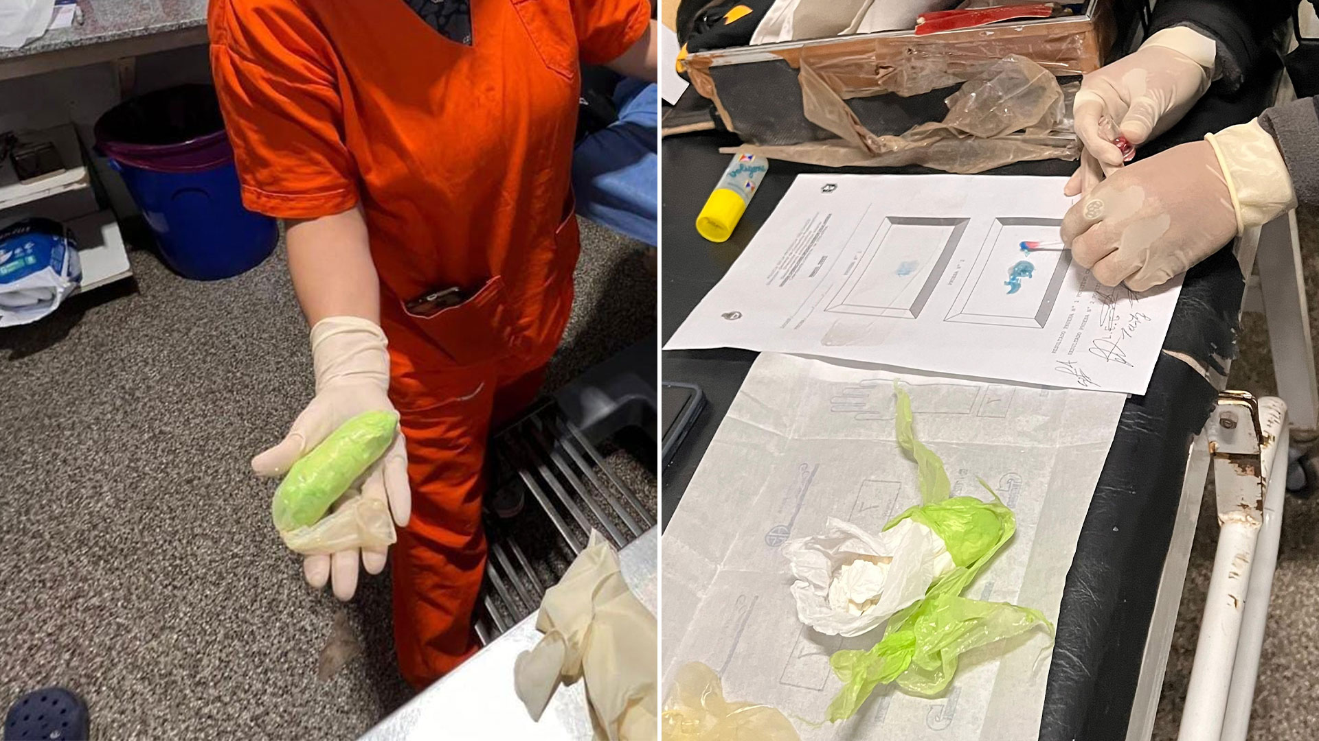 Un llamado an&oacute;nimo frustr&oacute; una maniobra para ingresar coca&iacute;na a Chaco: hay una embarazada detenida