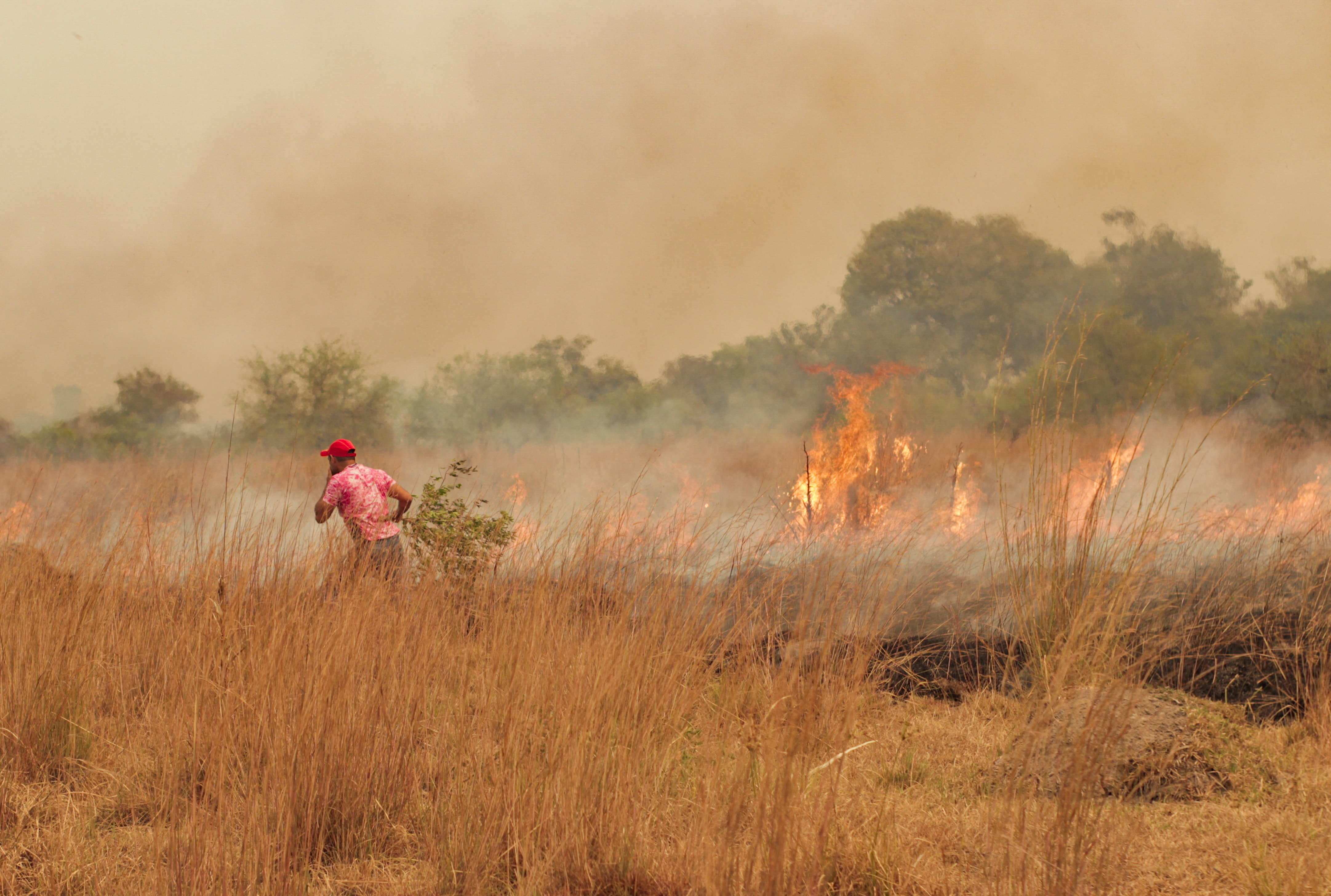 Las llamas en Corrientes ya devoraron más de medio millón de hectáreas y todavía están fuera de control. (foto Reuters)