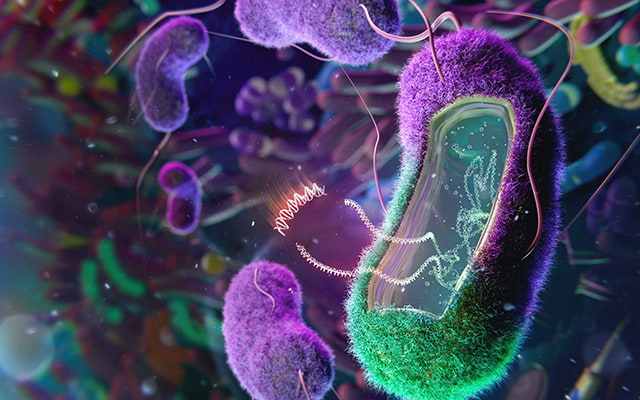 microbioma CAPTION
An artist’s rendering of the concept of re-engineered native bacteria that serve as chassis to introduce therapeutics into the gut microbiome to treat or cure disease.

CREDIT
Thom Leach, Amoeba Studios

USAGE R